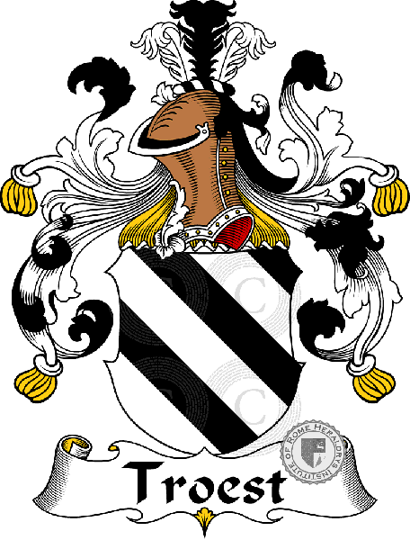Coat of arms of family Troest