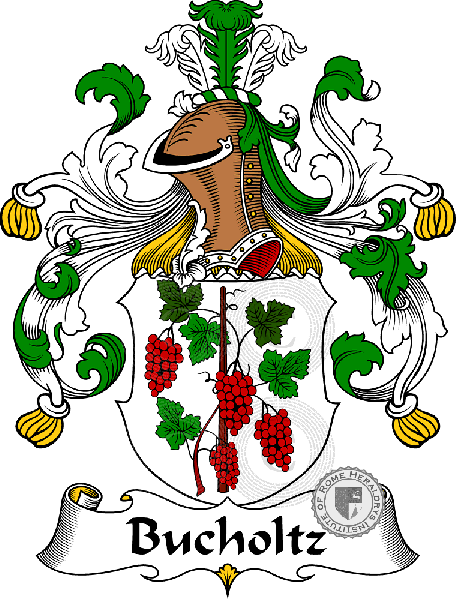 Coat of arms of family Bucholtz