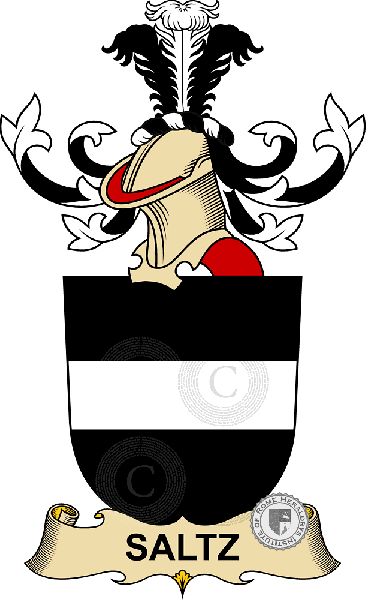 Coat of arms of family Saltz
