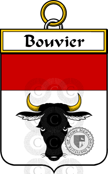 Brasão da família Bouvier