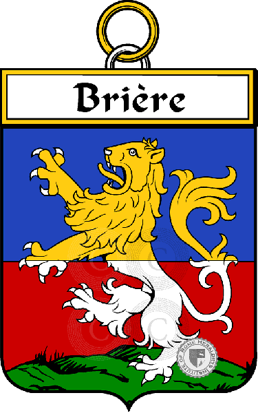 Brasão da família Brière