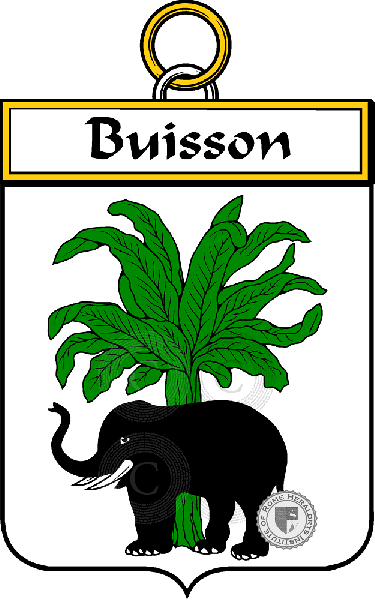 Coat of arms of family Buisson