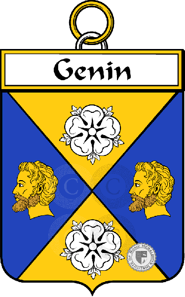 Coat of arms of family Genin