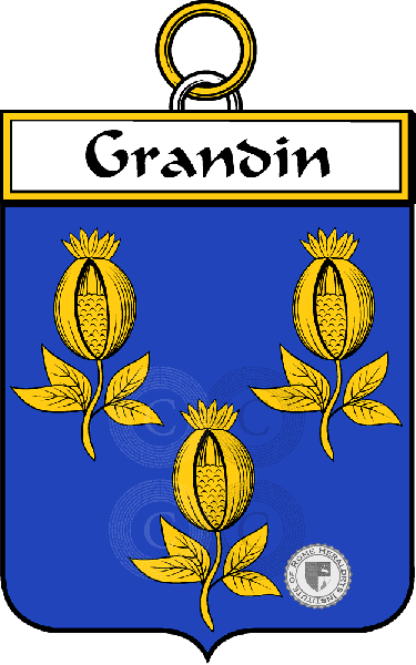 Coat of arms of family Grandin or Grondin