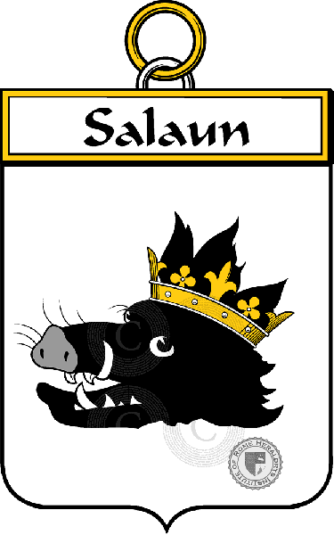 Escudo de la familia Salaun