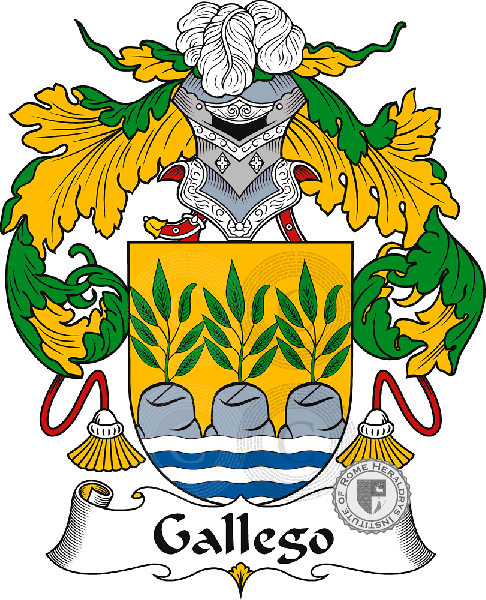 Coat of arms of family Gallego or Gallegos