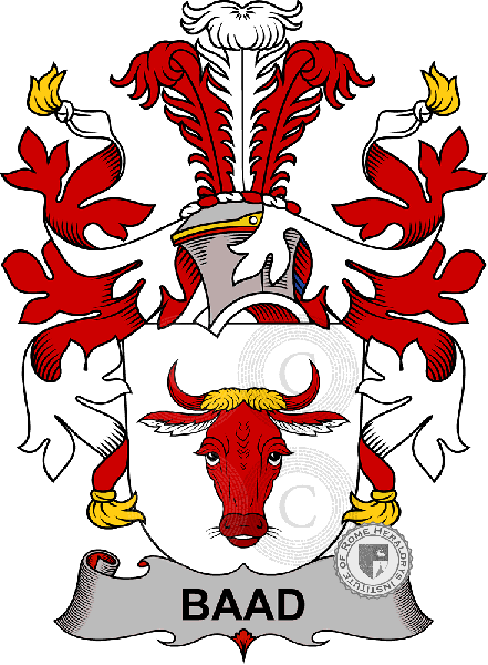Coat of arms of family Baad 2