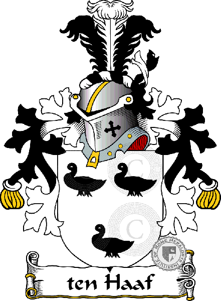 Wappen der Familie ten Haaf