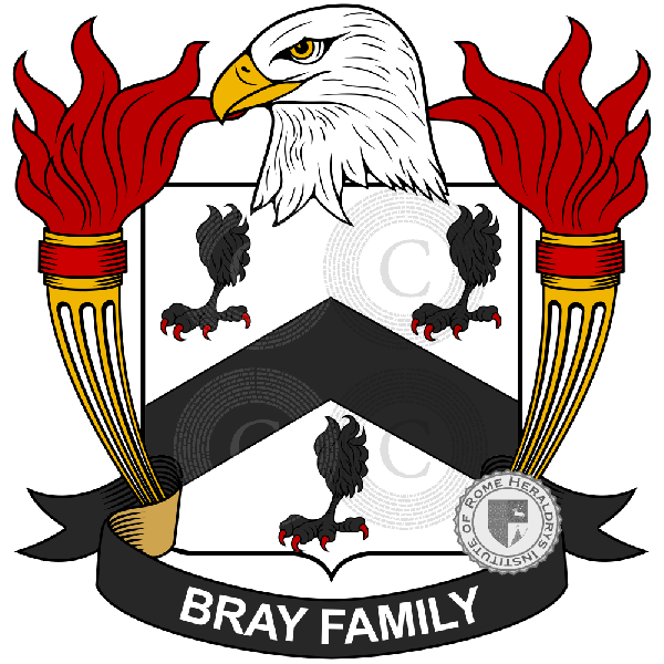 Brasão da família Bray