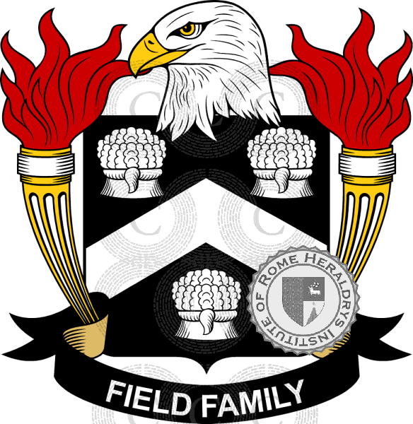 Coat of arms of family Field