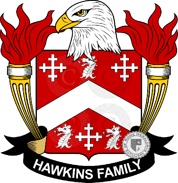 Coat of arms of family Hawkins