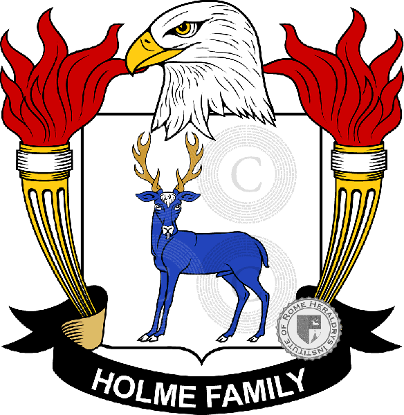 Coat of arms of family Holme