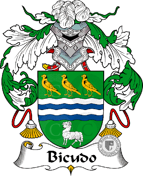 Coat of arms of family Bicudo