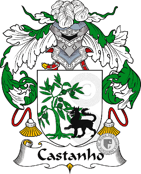 Coat of arms of family Castanho