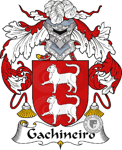 Coat of arms of family Gachineiro