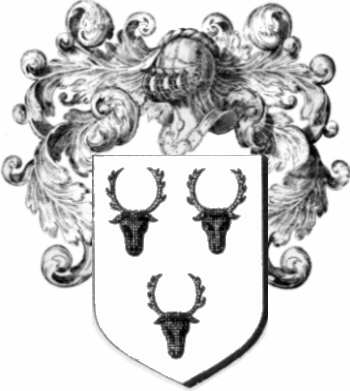 Coat of arms of family Daen