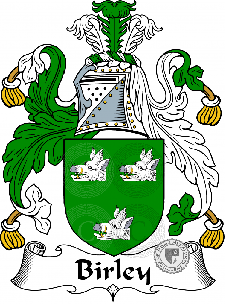 Coat of arms of family Birley