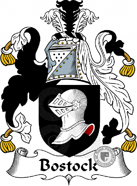 Coat of arms of family Bostock