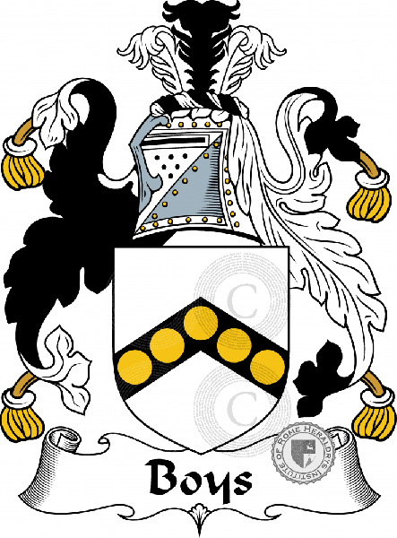 Coat of arms of family Boys