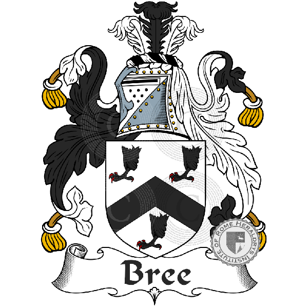 Escudo de la familia Bree