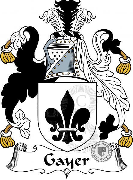 Coat of arms of family Gayer