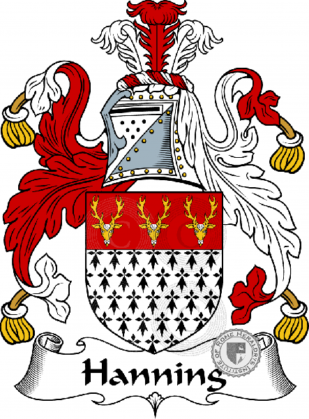 Coat of arms of family Hanning