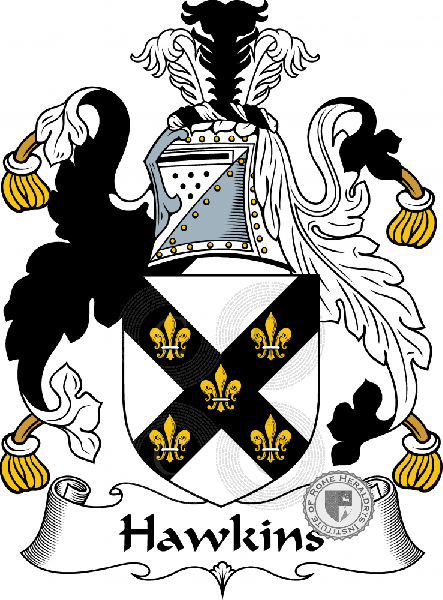Coat of arms of family Hawkins