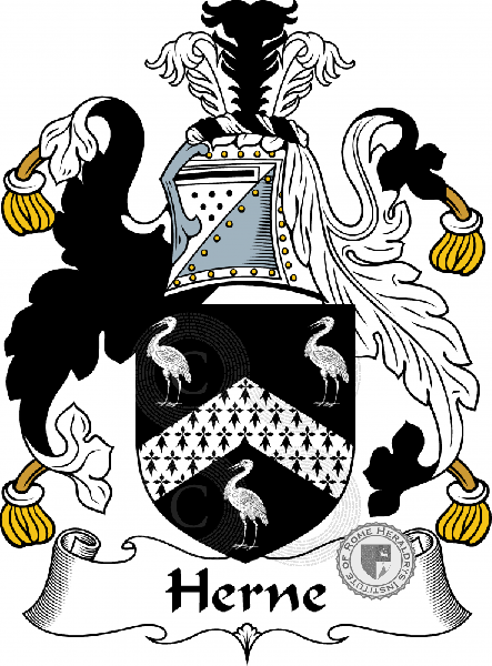 Coat of arms of family Herne