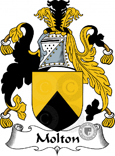 Coat of arms of family Molton