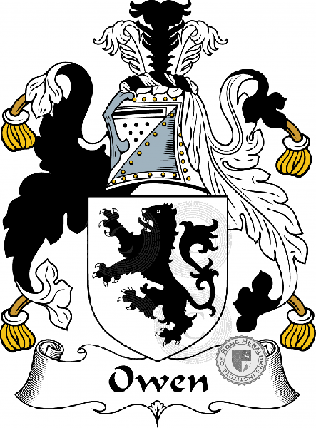 Coat of arms of family Owen I