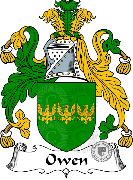 Escudo de la familia Owen II