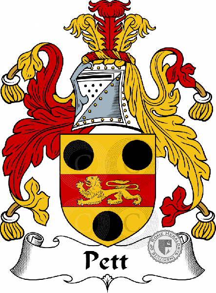 Coat of arms of family Pett