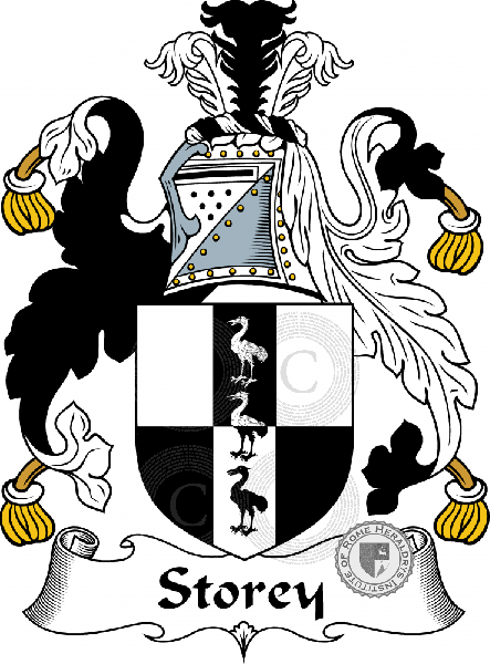 Coat of arms of family Storey