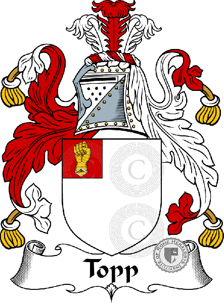 Coat of arms of family Topp