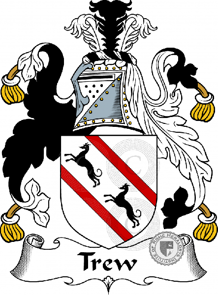 Coat of arms of family Trew