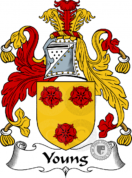 Coat of arms of family Young I