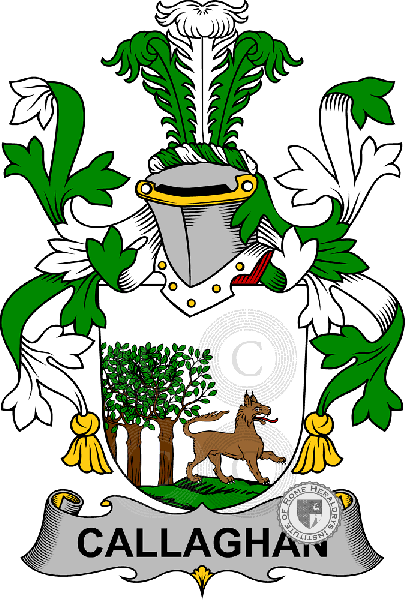 Wappen der Familie Callaghan