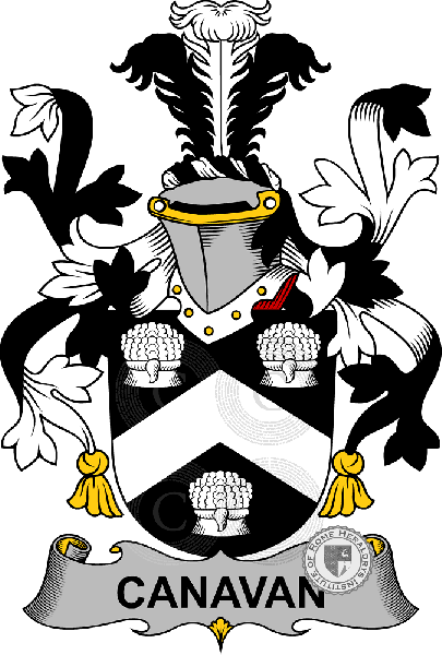 Coat of arms of family Canavan