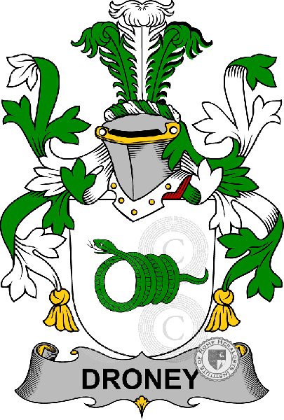 Coat of arms of family Droney
