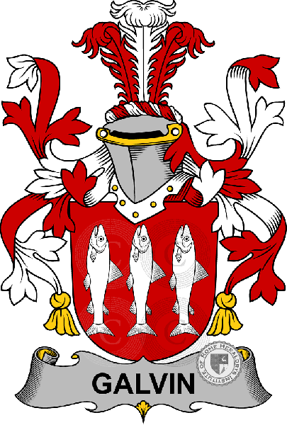 Wappen der Familie Galvin