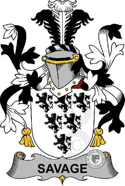 Coat of arms of family Savage