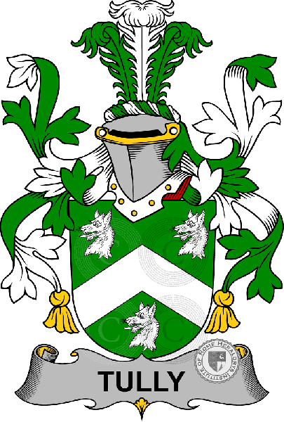 Coat of arms of family Tuly