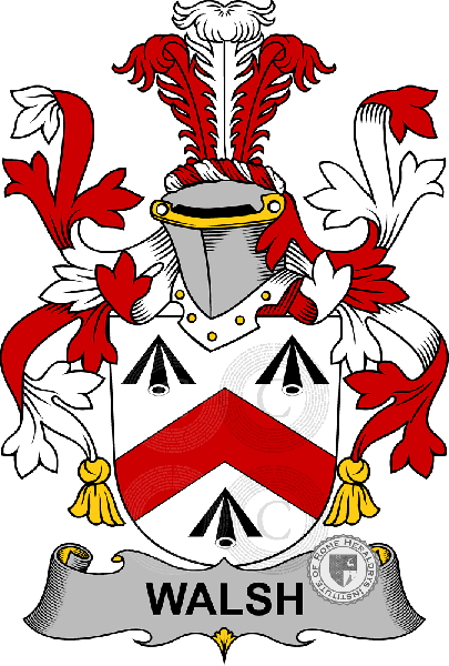 Coat of arms of family Walsh