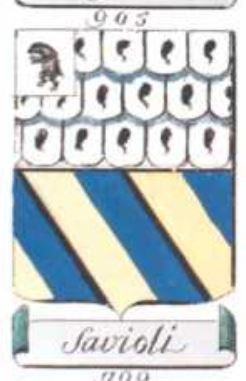 Escudo de la familia Savioli Fontana Coltelli   ref: 22818