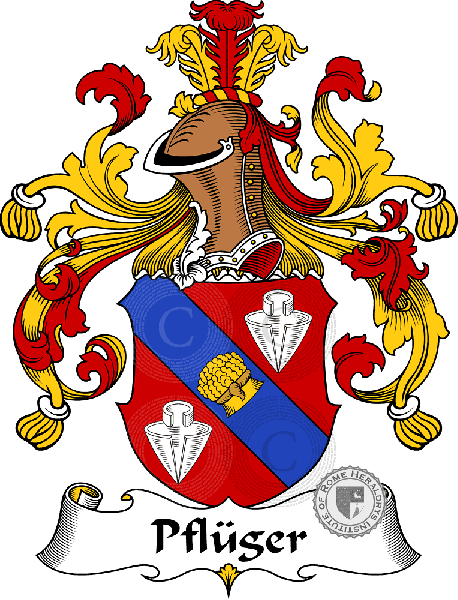 Coat of arms of family Pflüger