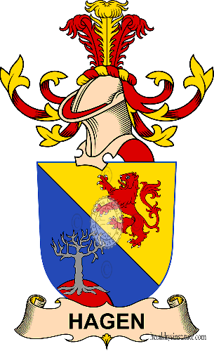 Coat of arms of family Hagen (de Türnberg)   ref: 32404