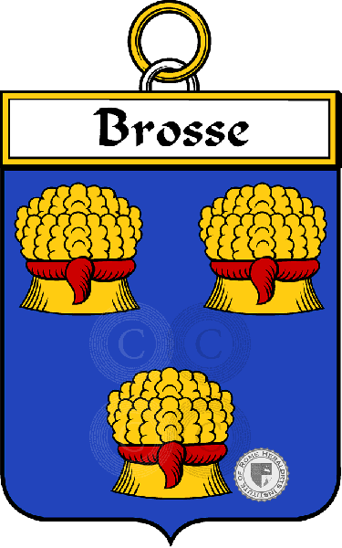 Coat of arms of family Brosse
