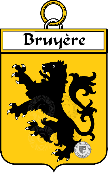 Coat of arms of family Bruyere