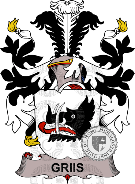 Coat of arms of family Griis   ref: 37845