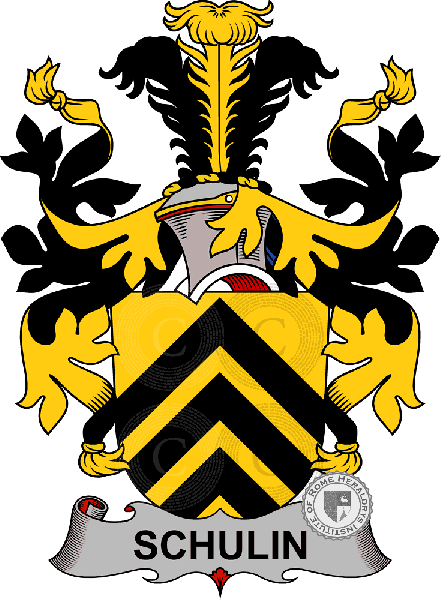 Coat of arms of family Schulin
